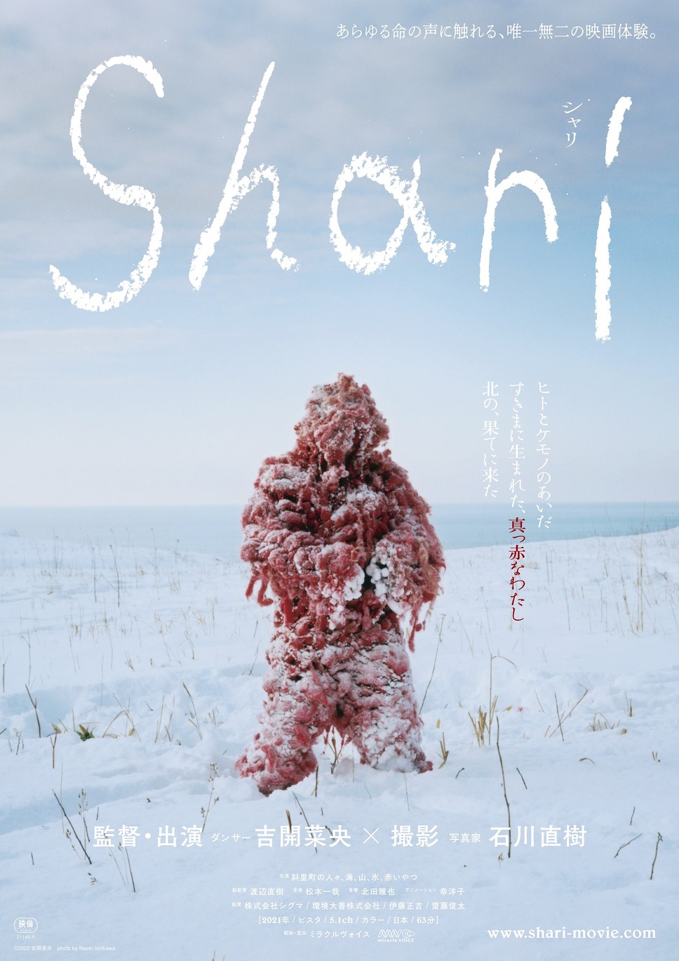 Shari 1枚目の写真・画像