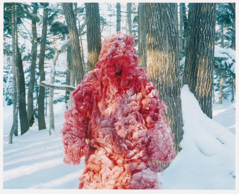 Shari 2枚目の写真・画像