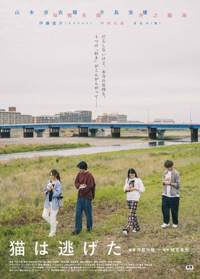 猫は逃げた 1枚目の写真・画像