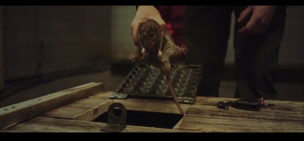 スリープレス・ビューティー 戦慄の美女監禁実験 4枚目の写真・画像