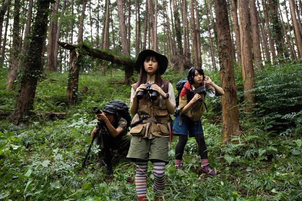 絶滅動物（VACATION） 2枚目の写真・画像