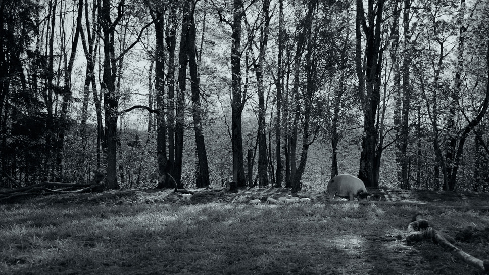 GUNDA／グンダ 3枚目の写真・画像