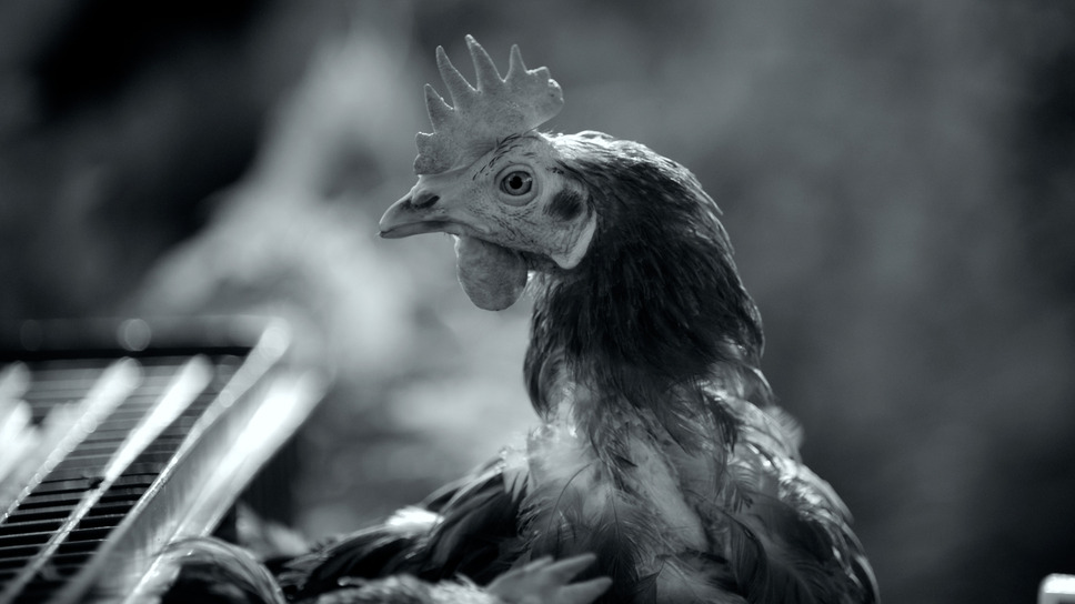 GUNDA／グンダ 7枚目の写真・画像