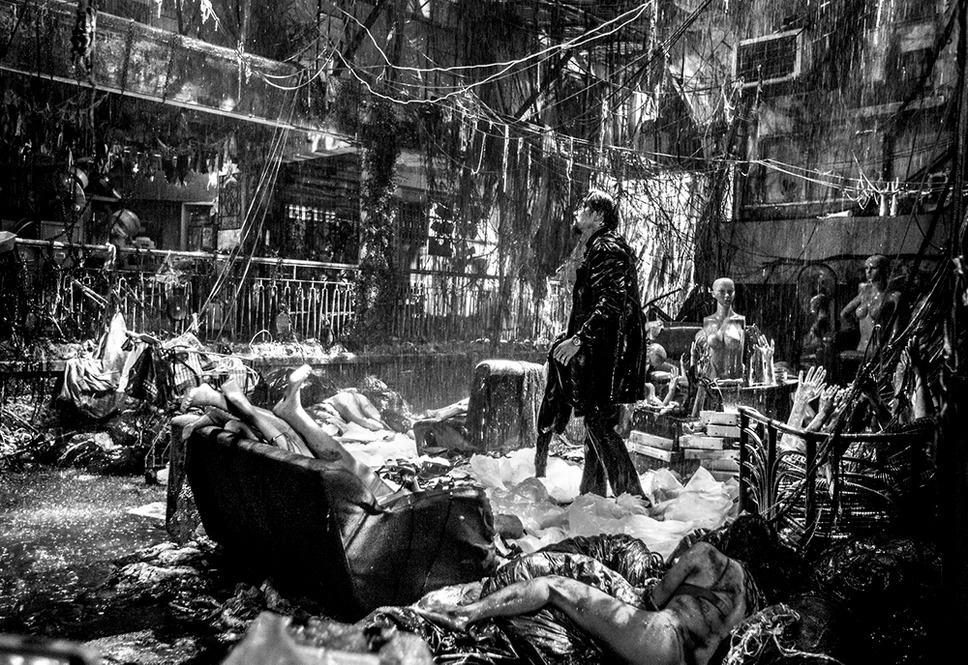 リンボ 2枚目の写真・画像