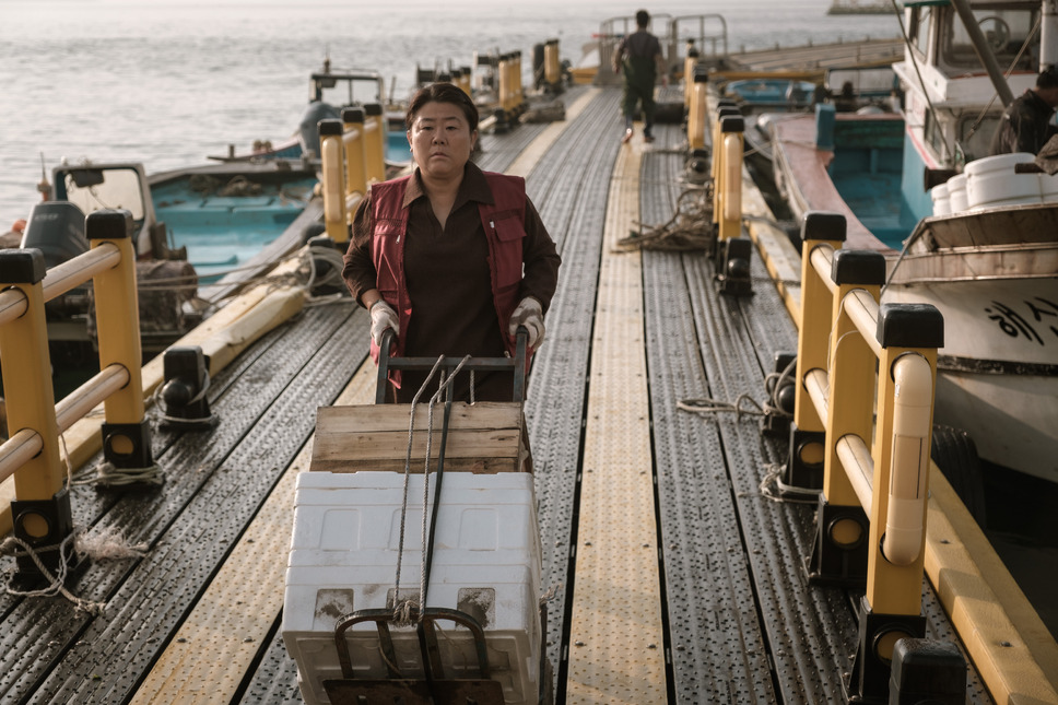 ひかり探して 7枚目の写真・画像