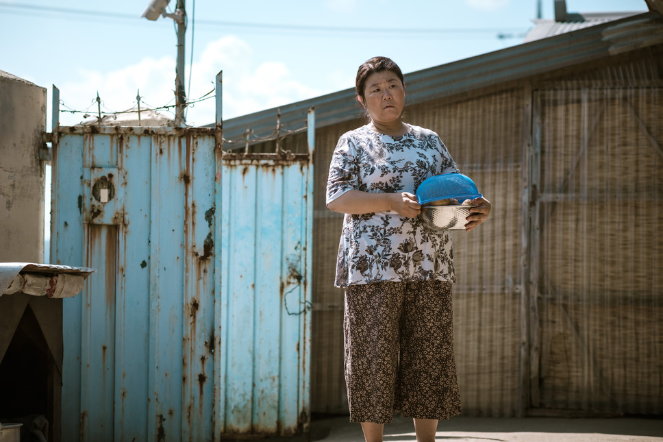 ひかり探して 9枚目の写真・画像