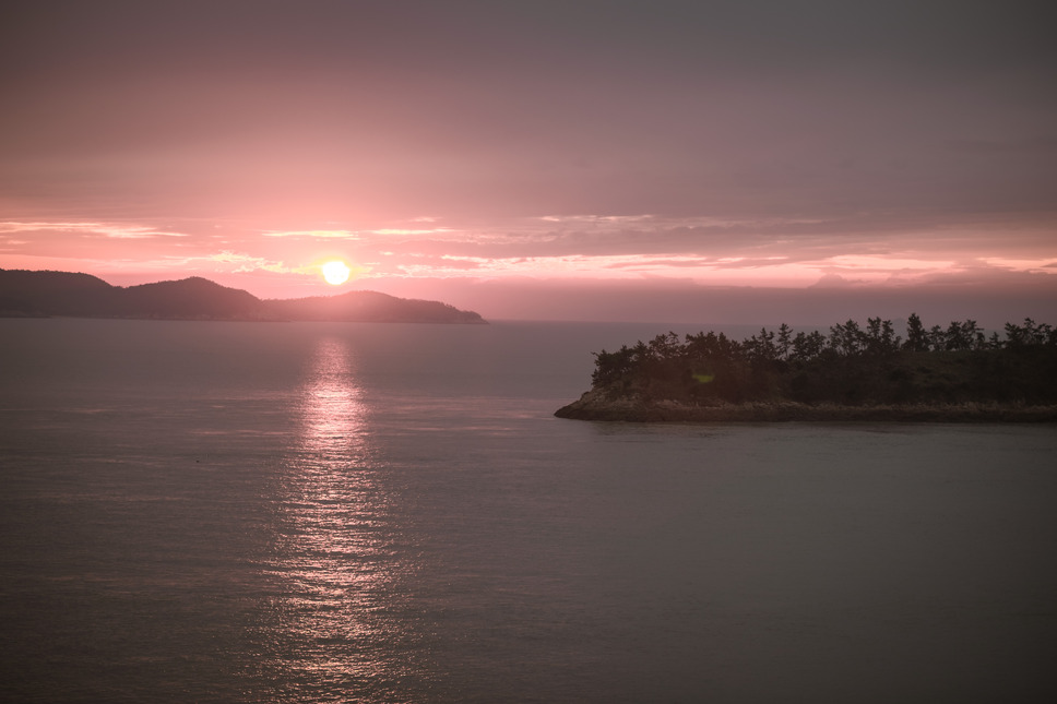 ひかり探して 11枚目の写真・画像