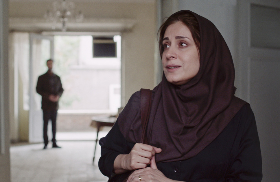 白い牛のバラッド 3枚目の写真・画像