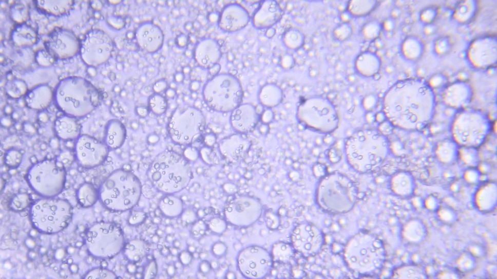 発酵する民 3枚目の写真・画像