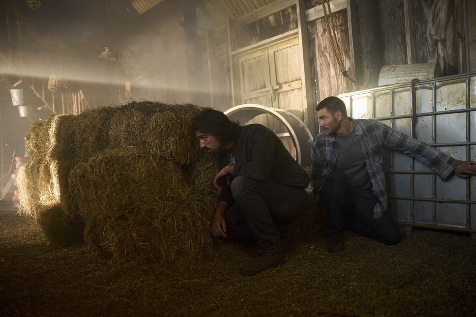 サバイバル・シティ 7枚目の写真・画像