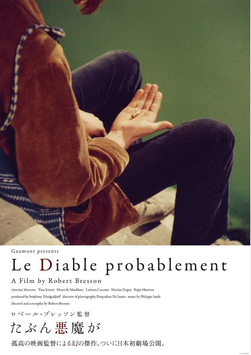 たぶん悪魔が 1枚目の写真・画像