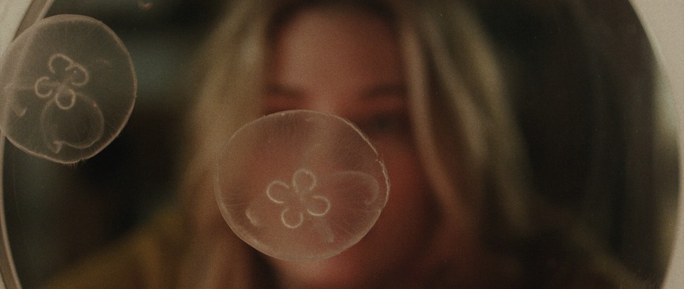 スターフィッシュ 5枚目の写真・画像