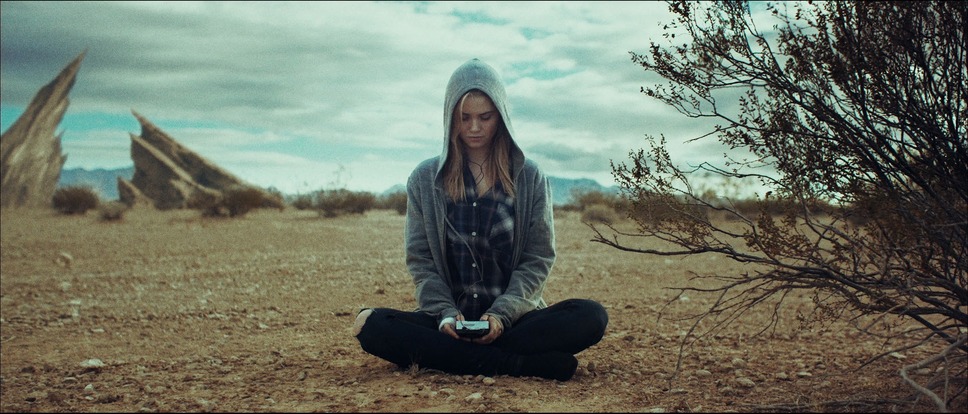 スターフィッシュ 7枚目の写真・画像