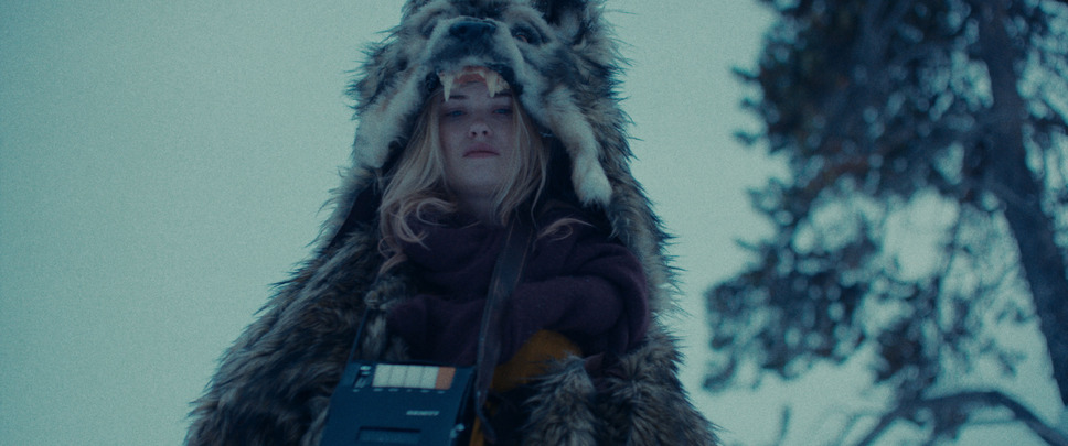 スターフィッシュ 11枚目の写真・画像