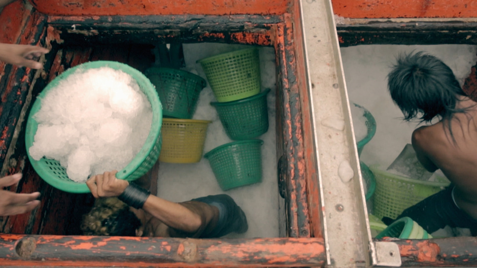 ゴースト・フリート 知られざるシーフード産業の闇 8枚目の写真・画像