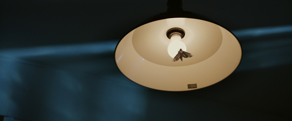 カウンセラー 2枚目の写真・画像