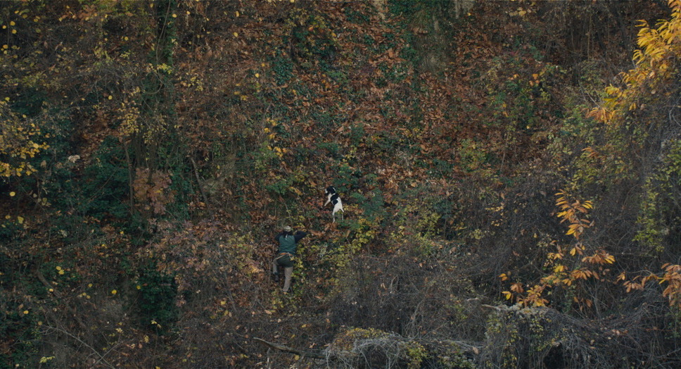 白いトリュフの宿る森 3枚目の写真・画像