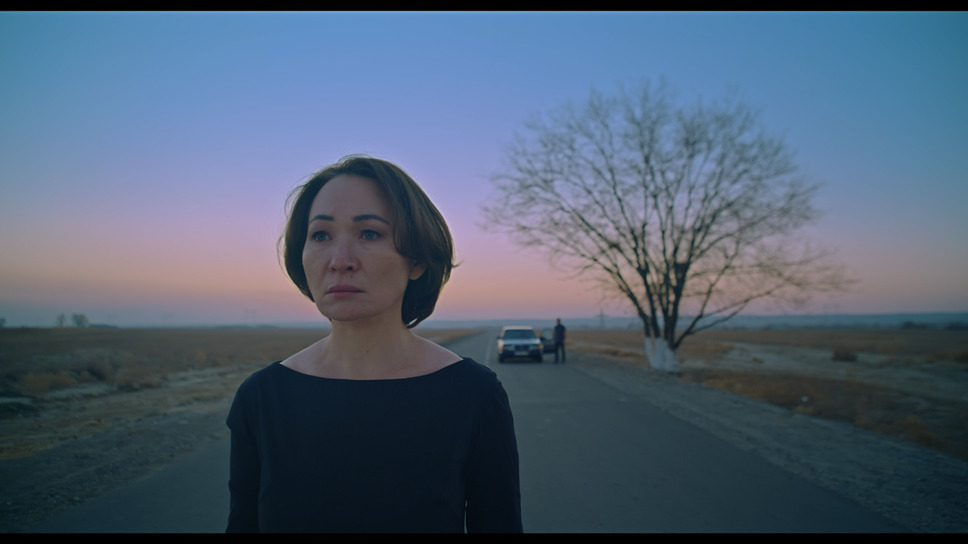 赤ザクロ 1枚目の写真・画像