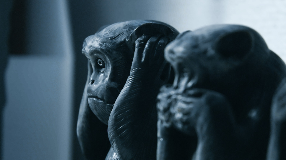 猿ノ王国 6枚目の写真・画像