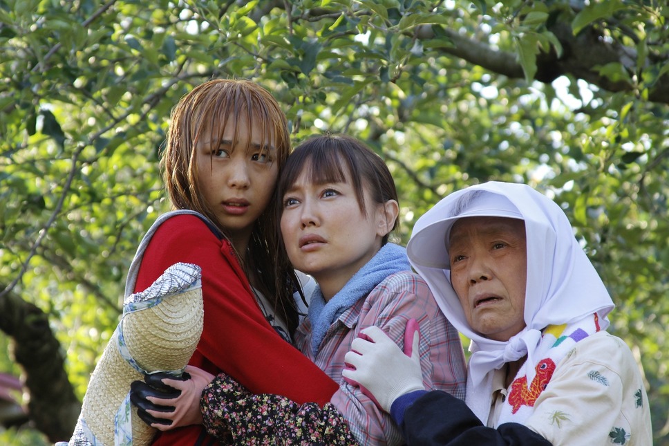 りんごのうかの少女 1枚目の写真・画像