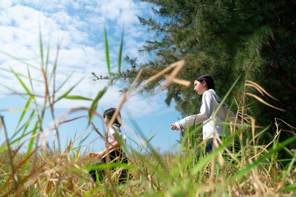 三月的南国之南 1枚目の写真・画像