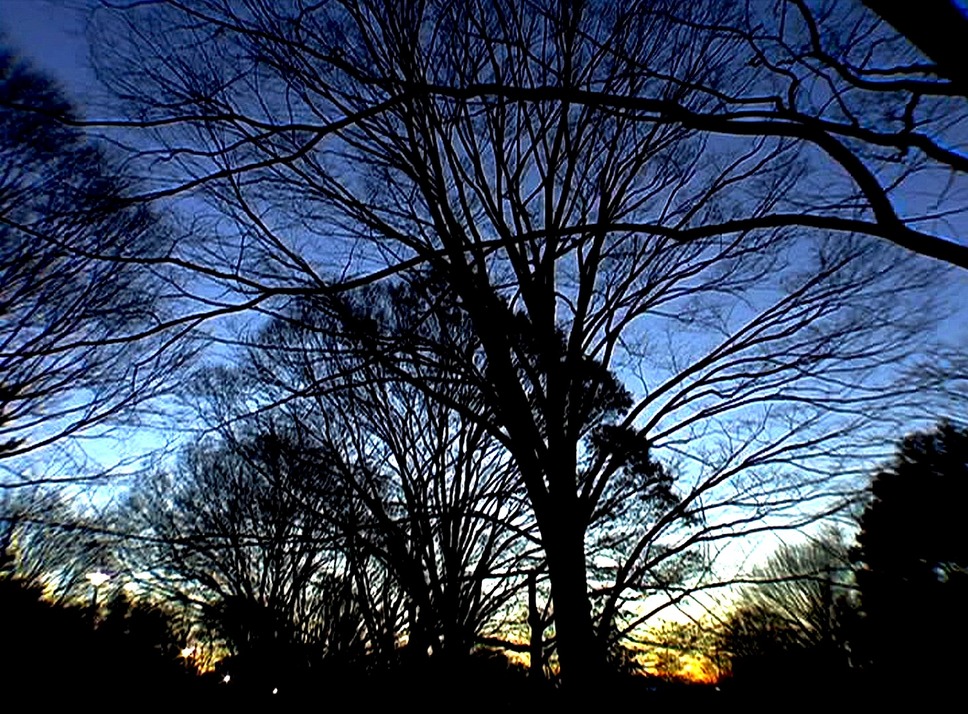 眠り姫 サラウンドリマスター版 1枚目の写真・画像