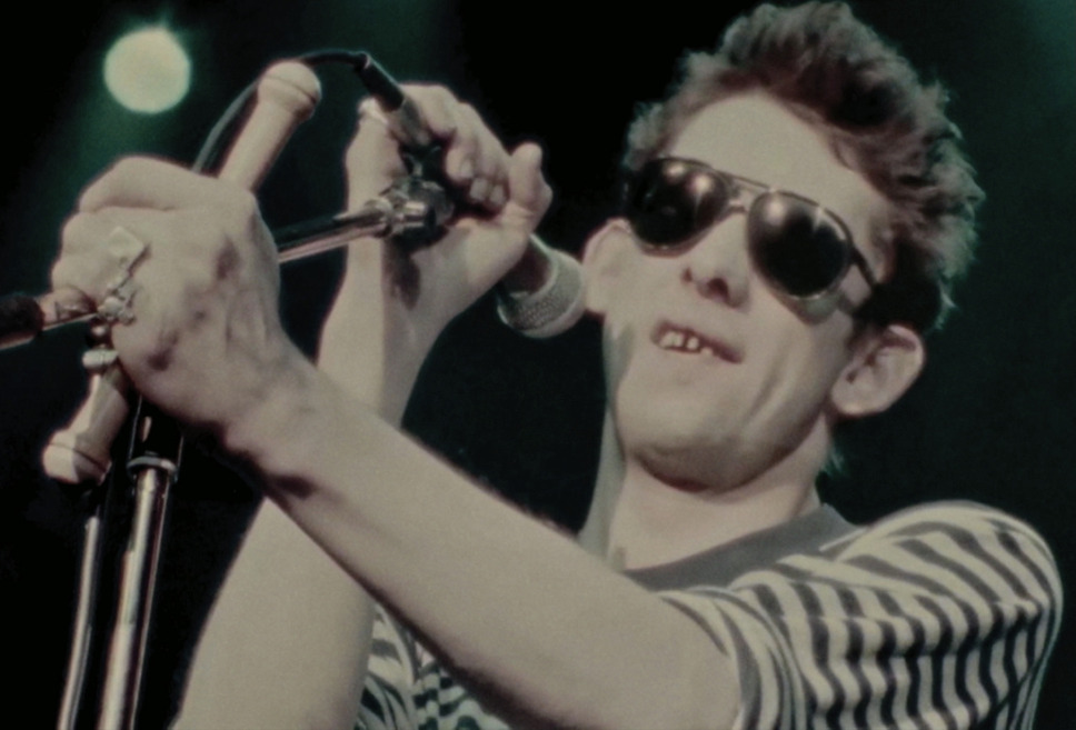 シェイン 世界が愛する厄介者のうた 8枚目の写真・画像