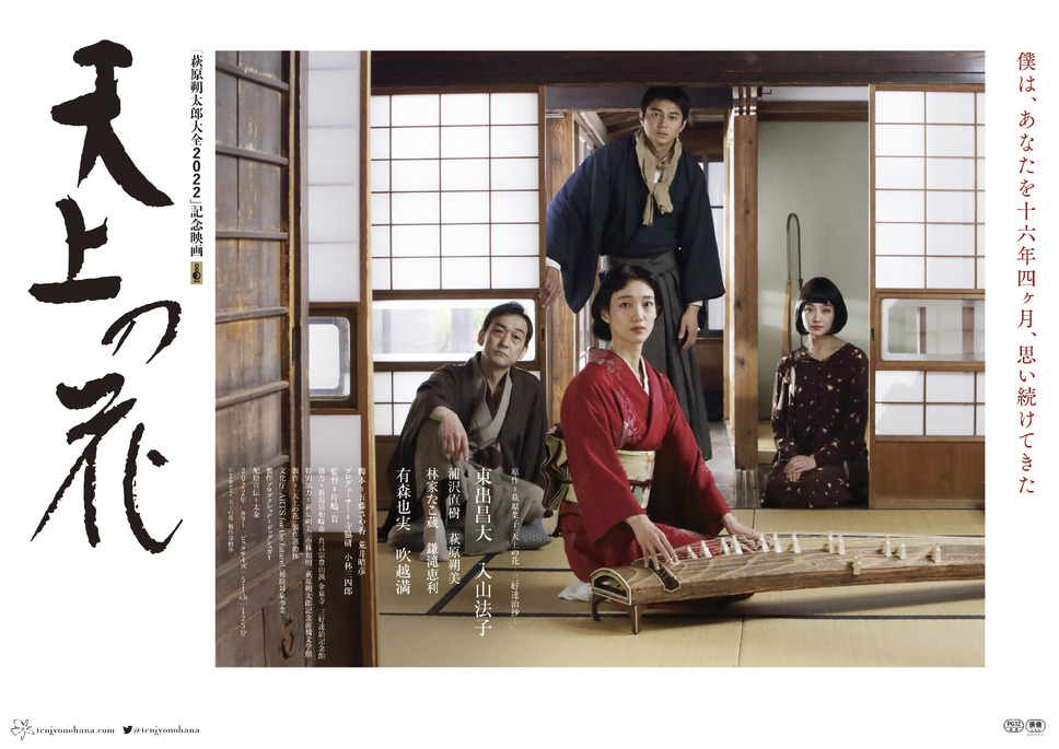 天上の花 2枚目の写真・画像