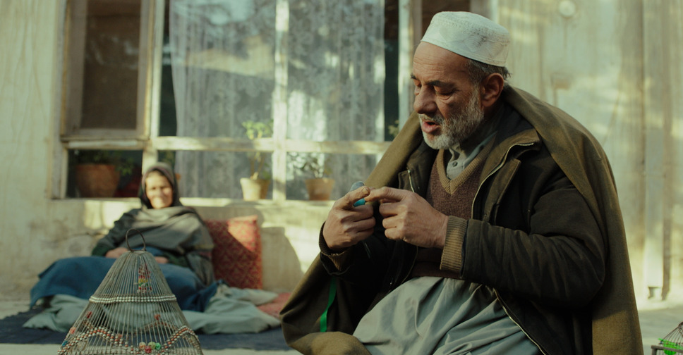 ©2019 Noori Pictures