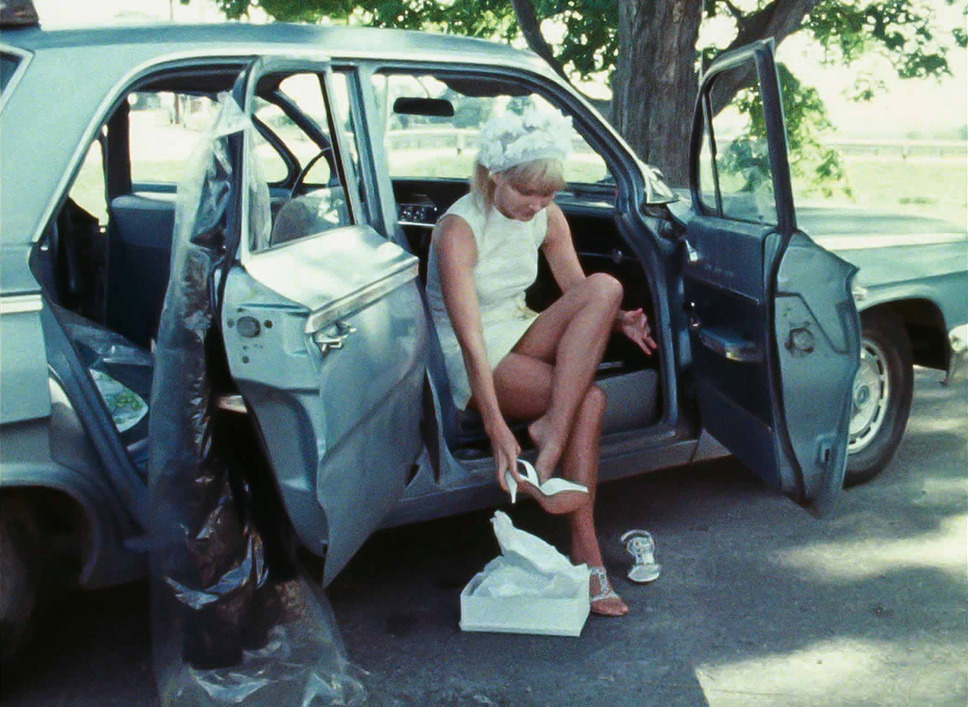 WANDA ワンダ 7枚目の写真・画像