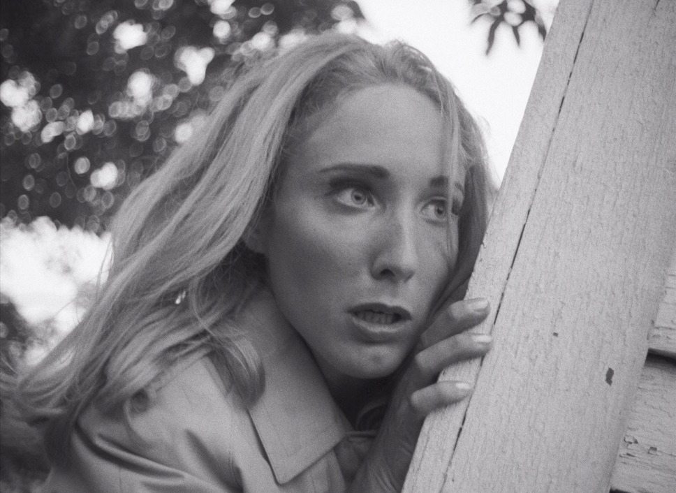 ナイト・オブ・ザ・リビング・デッド 4Kリマスター版 12枚目の写真・画像