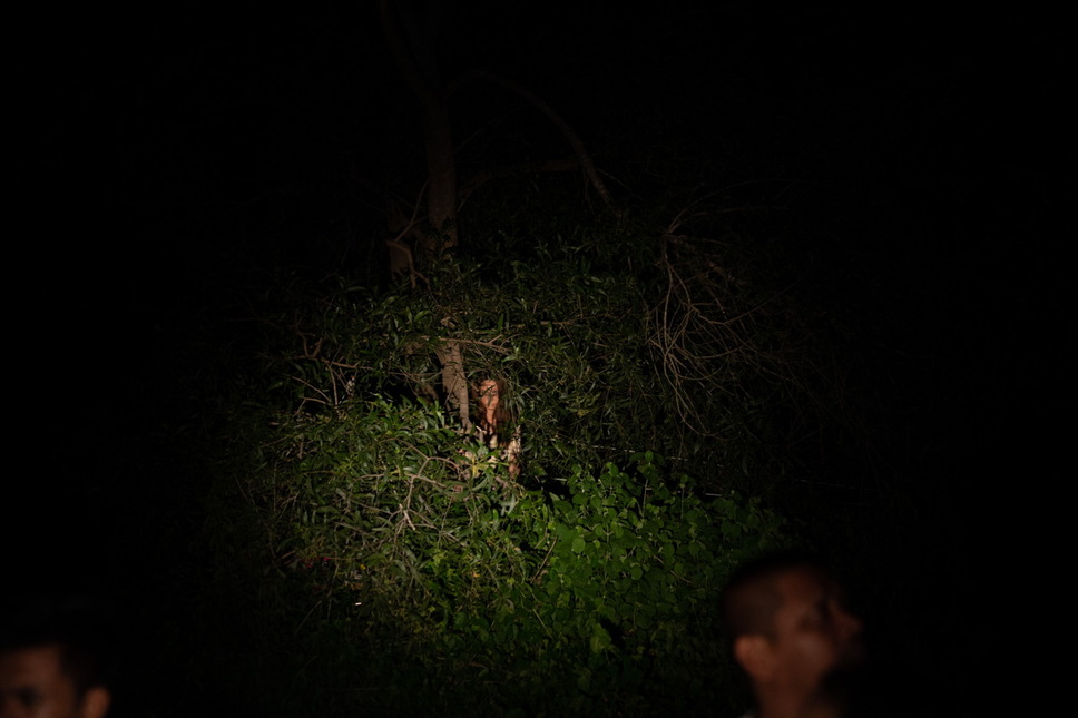 女神の継承 8枚目の写真・画像