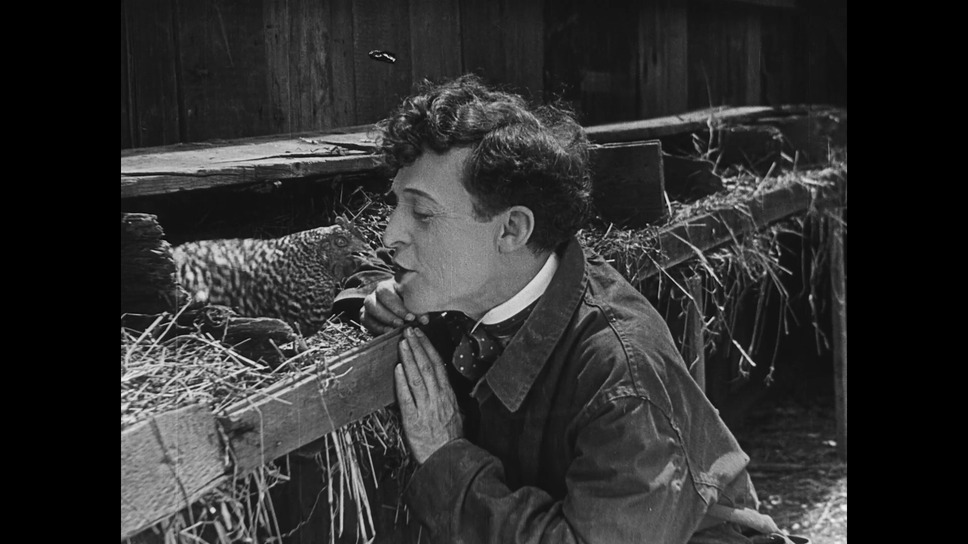 たまご割れすぎ問題 6枚目の写真・画像