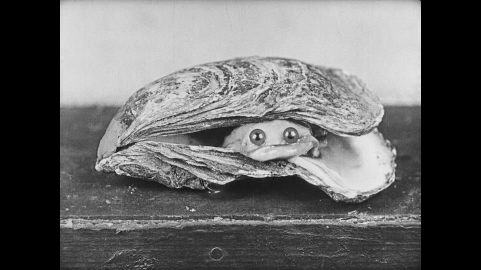 全自動レストラン 8枚目の写真・画像