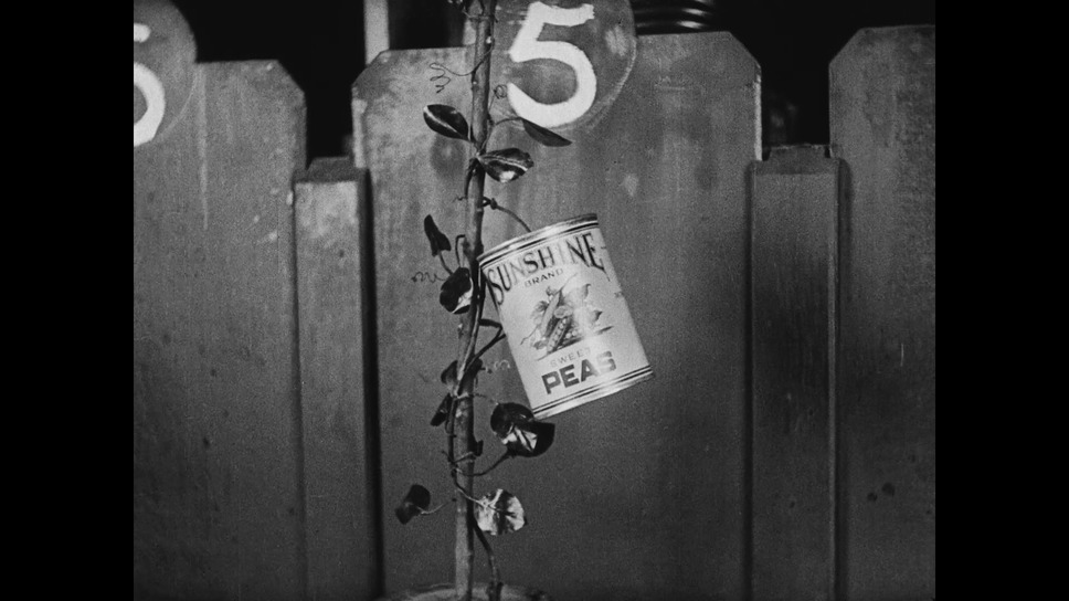 全自動レストラン 12枚目の写真・画像