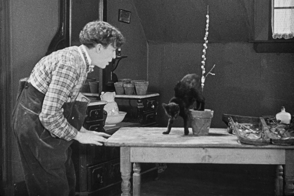 ほらふき倶楽部 1枚目の写真・画像