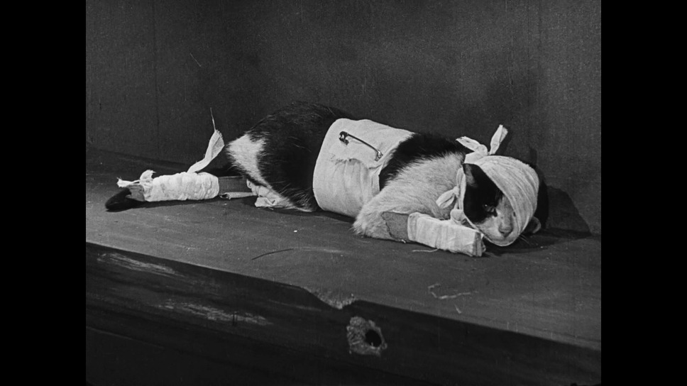 ほらふき倶楽部 5枚目の写真・画像