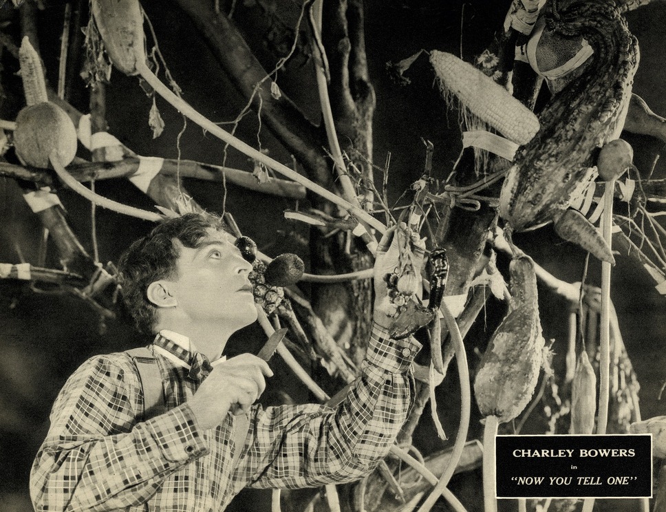 ほらふき倶楽部 9枚目の写真・画像