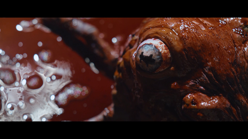 ザ・シスト／凶悪性新怪物 8枚目の写真・画像