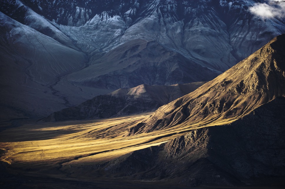 ベルベット・クイーン ユキヒョウを探して 8枚目の写真・画像