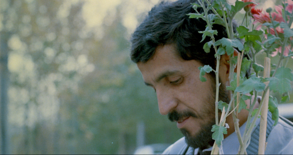 クローズ・アップ 11枚目の写真・画像