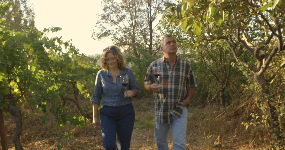 戦地で生まれた奇跡のレバノンワイン 6枚目の写真・画像