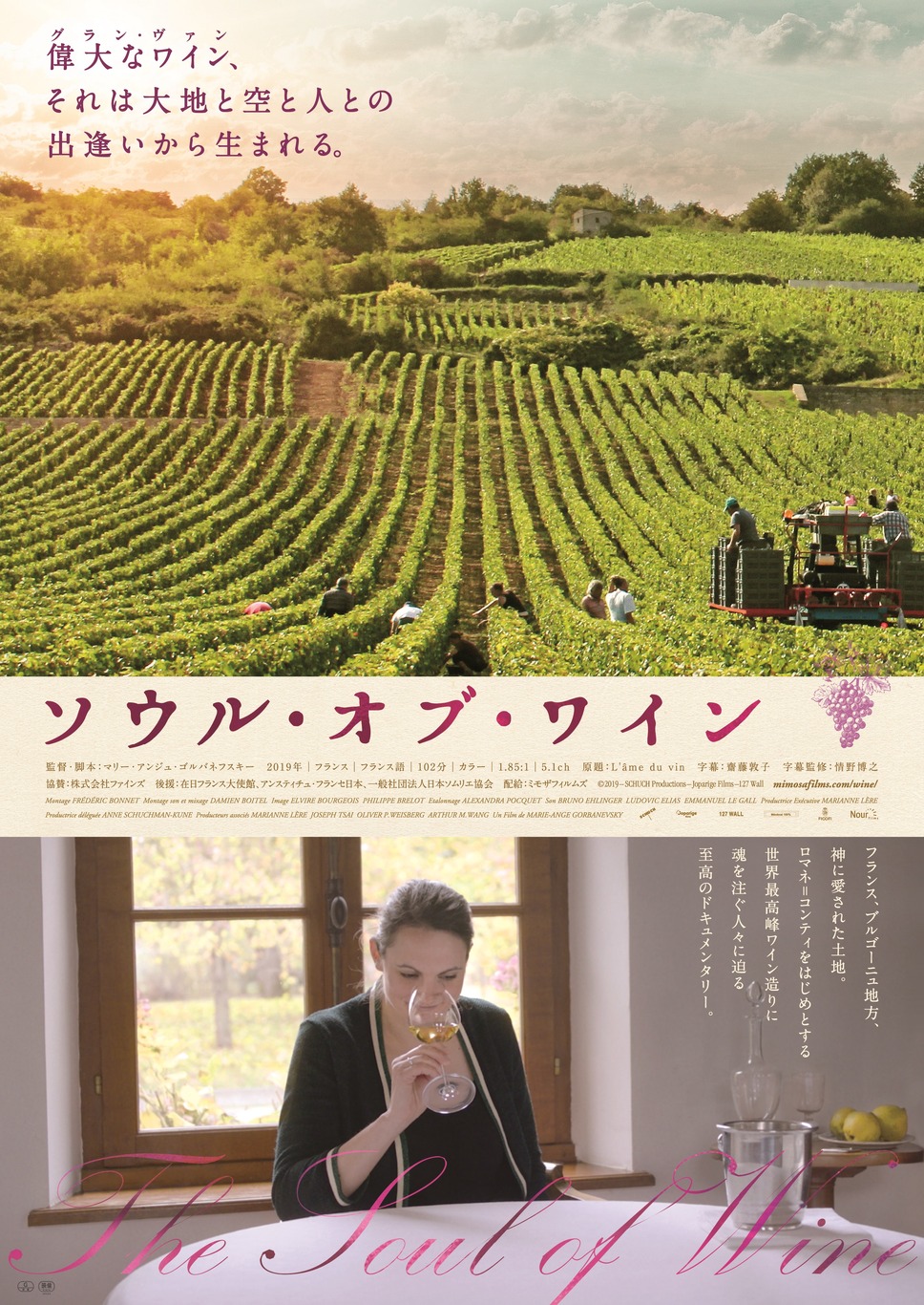 ソウル・オブ・ワイン 1枚目の写真・画像