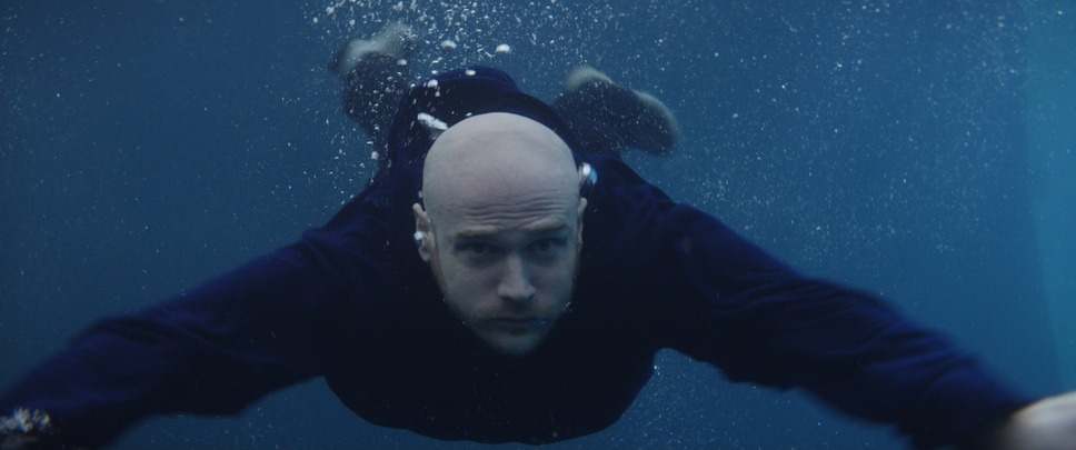 シャイニー・シュリンプス！世界に羽ばたけ 7枚目の写真・画像