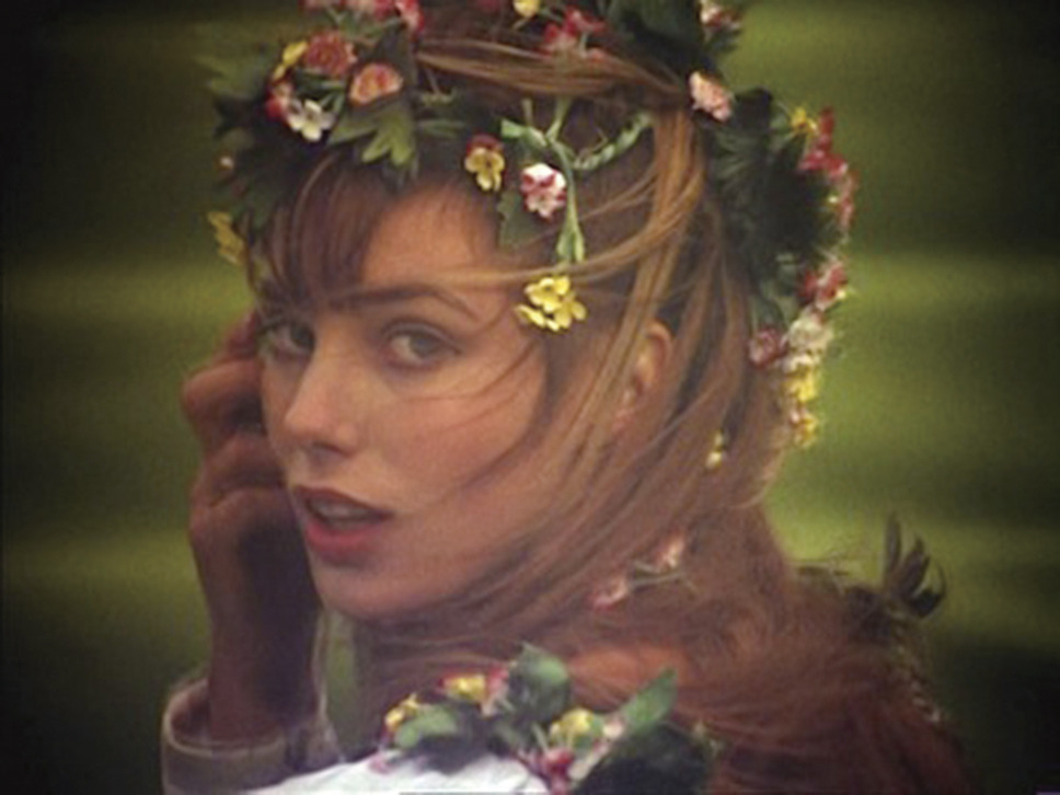 ワンダーウォール 2枚目の写真・画像