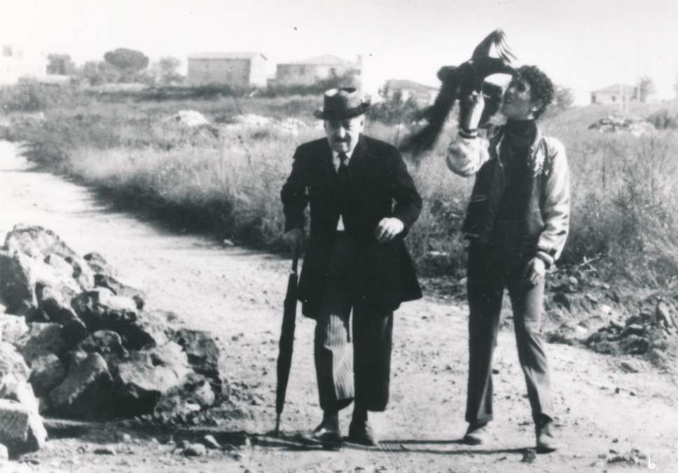 大きな鳥と小さな鳥 2枚目の写真・画像