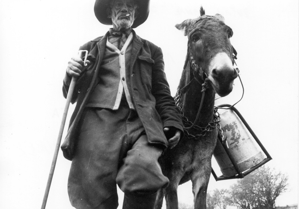 百年の夢 デジタル・リマスター版 2枚目の写真・画像