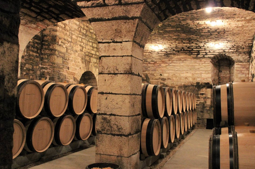 ソウル・オブ・ワイン 6枚目の写真・画像