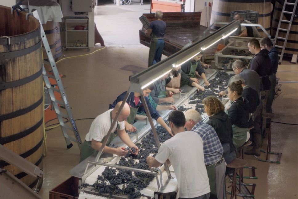 ソウル・オブ・ワイン 13枚目の写真・画像