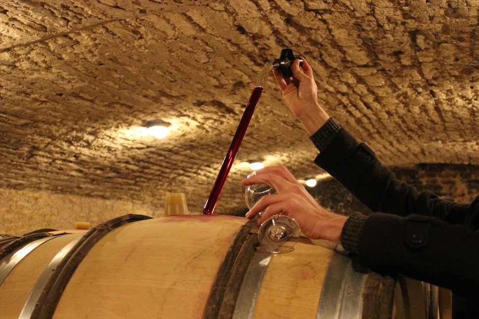 ソウル・オブ・ワイン 14枚目の写真・画像